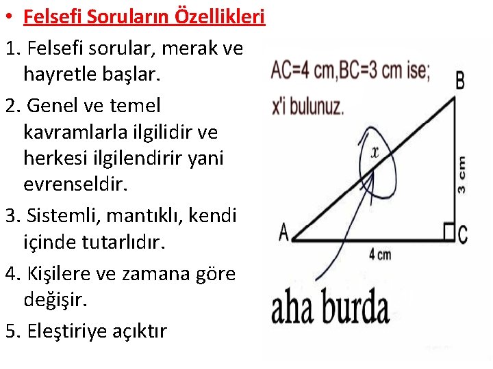  • Felsefi Soruların Özellikleri 1. Felsefi sorular, merak ve hayretle başlar. 2. Genel