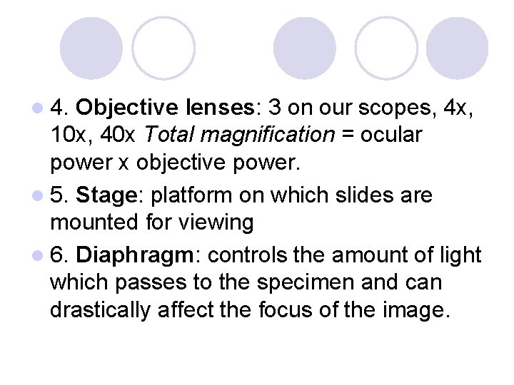 l 4. Objective lenses: 3 on our scopes, 4 x, 10 x, 40 x