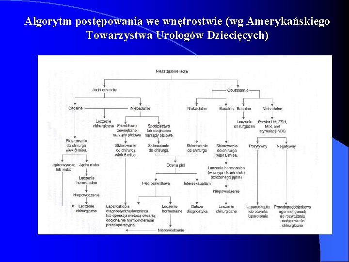 Algorytm postępowania we wnętrostwie (wg Amerykańskiego Towarzystwa Urologów Dziecięcych) Algorytm postępowania we wnętrostwie (wg Amerykańskiego Towarzystwa Urologów Dziecięcych)