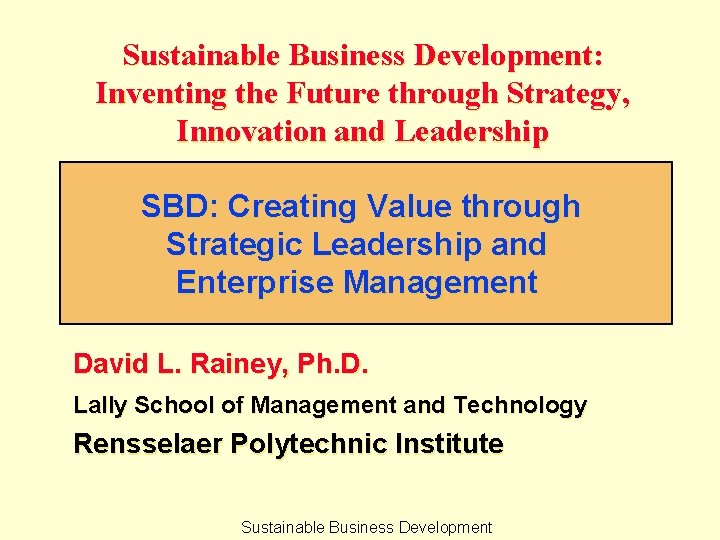 Sustainable Business Development: Inventing the Future through Strategy, Innovation and Leadership SBD: Creating Value