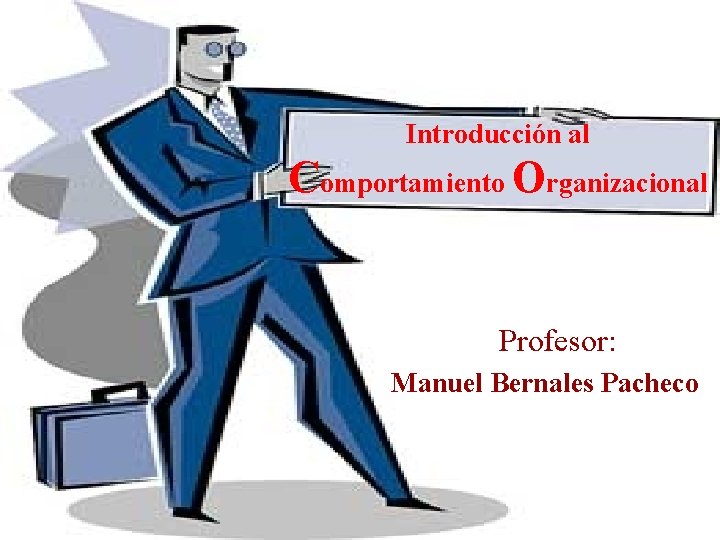 Introducción al Comportamiento Organizacional Profesor: Manuel Bernales Pacheco 