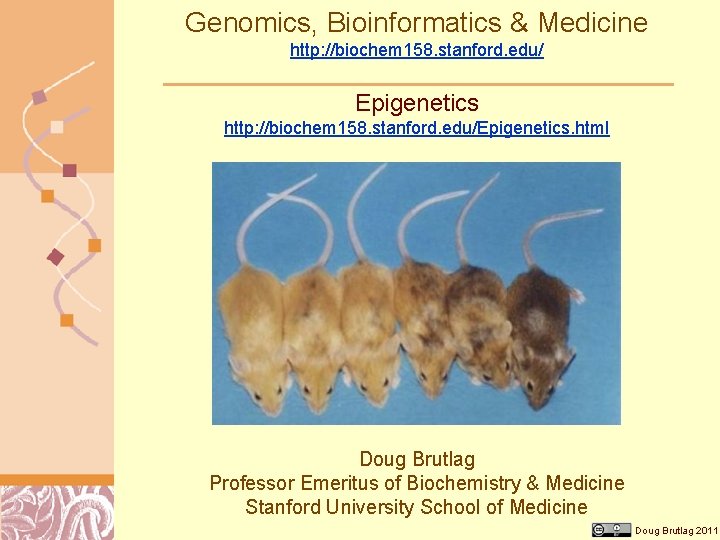 Genomics, Bioinformatics & Medicine http: //biochem 158. stanford. edu/ Epigenetics http: //biochem 158. stanford.