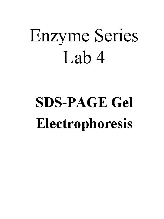 Enzyme Series Lab 4 SDS-PAGE Gel Electrophoresis 