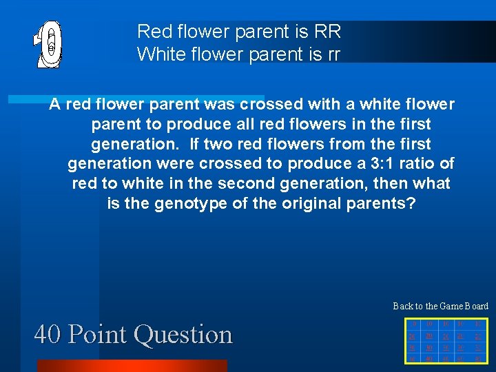 Red flower parent is RR White flower parent is rr A red flower parent