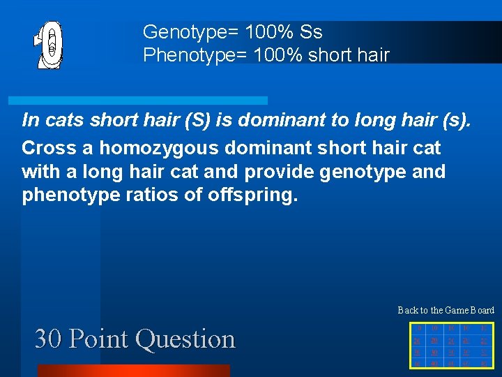 Genotype= 100% Ss Phenotype= 100% short hair In cats short hair (S) is dominant