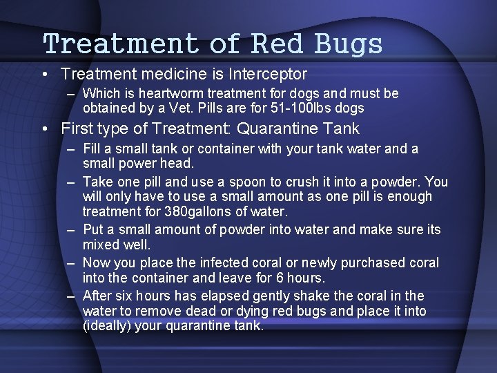 Treatment of Red Bugs • Treatment medicine is Interceptor – Which is heartworm treatment