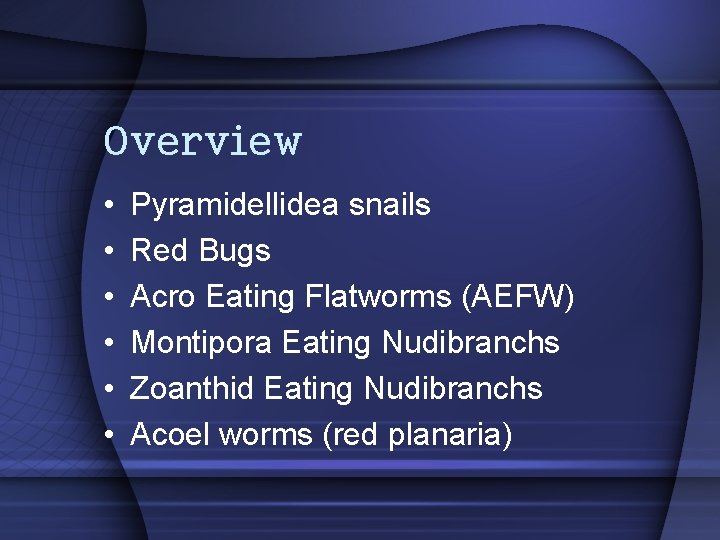 Overview • • • Pyramidellidea snails Red Bugs Acro Eating Flatworms (AEFW) Montipora Eating