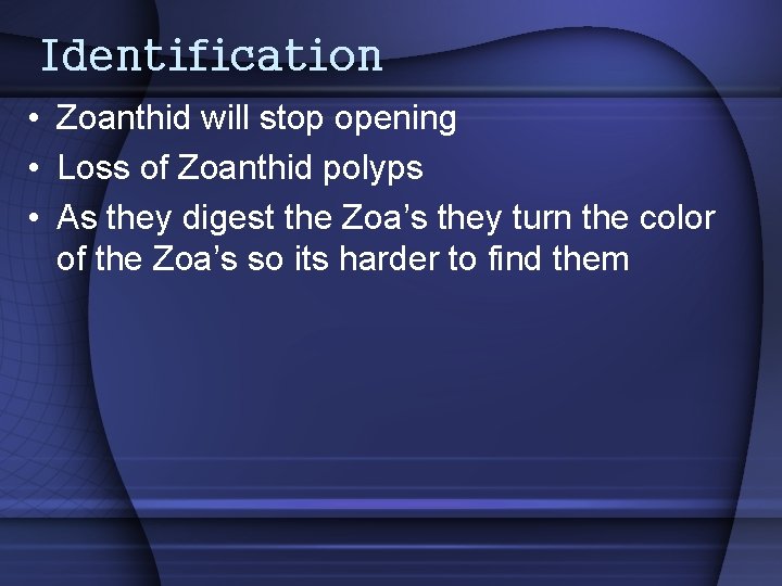 Identification • Zoanthid will stop opening • Loss of Zoanthid polyps • As they