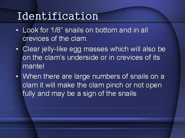 Identification • Look for 1/8” snails on bottom and in all crevices of the