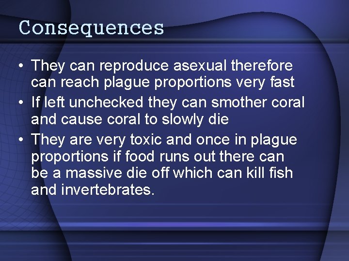 Consequences • They can reproduce asexual therefore can reach plague proportions very fast •