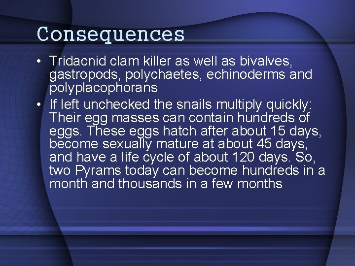 Consequences • Tridacnid clam killer as well as bivalves, gastropods, polychaetes, echinoderms and polyplacophorans