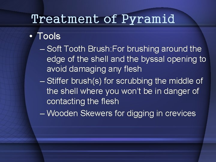Treatment of Pyramid • Tools – Soft Tooth Brush: For brushing around the edge