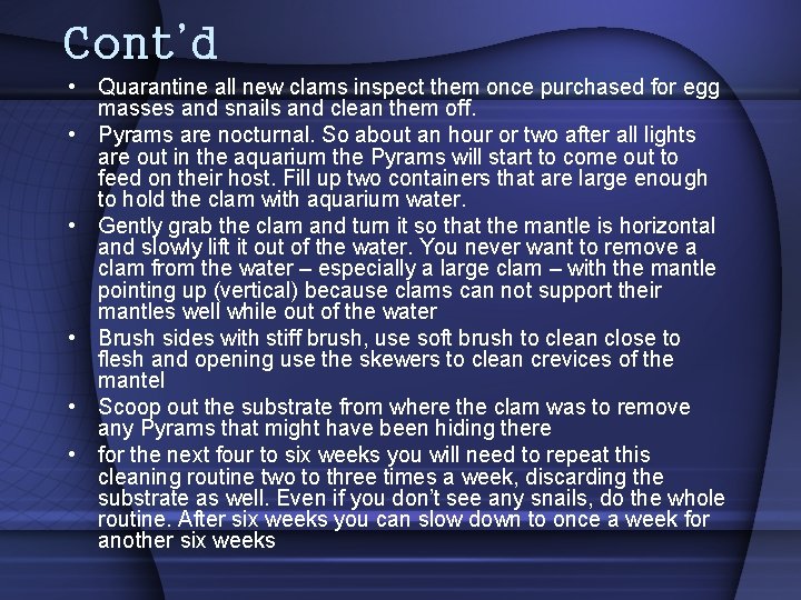 Cont’d • Quarantine all new clams inspect them once purchased for egg masses and