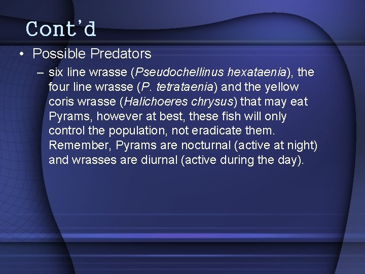 Cont’d • Possible Predators – six line wrasse (Pseudochellinus hexataenia), the four line wrasse