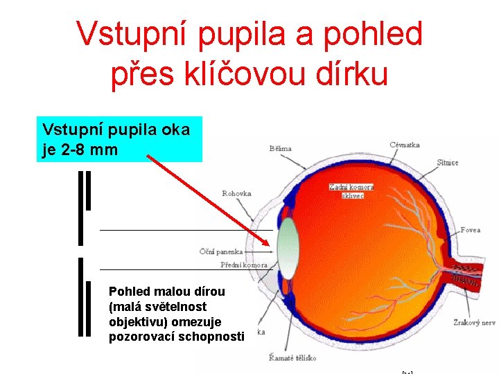 Vstupní pupila a pohled přes klíčovou dírku Vstupní pupila oka je 2 -8 mm