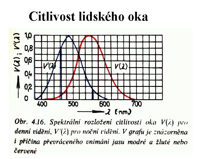 Citlivost lidského oka 