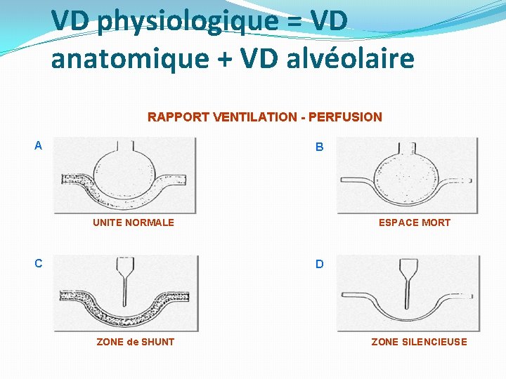 VD physiologique = VD anatomique + VD alvéolaire RAPPORT VENTILATION - PERFUSION A B