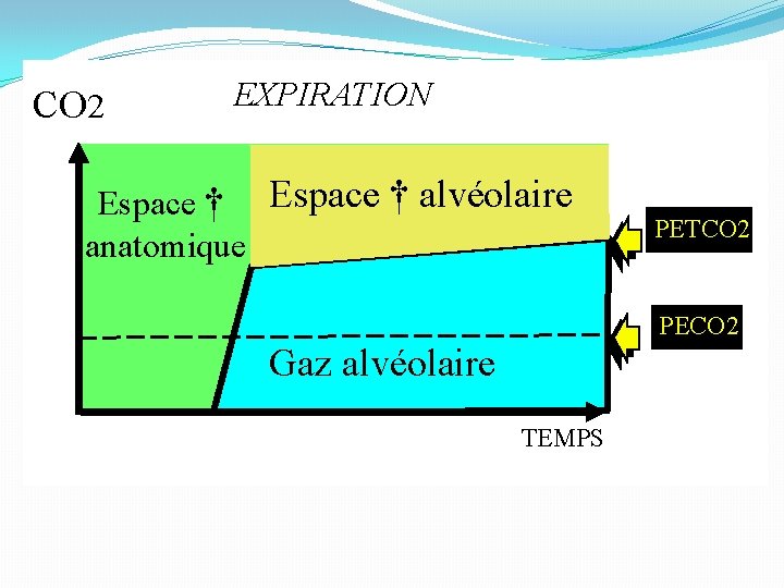 CO 2 EXPIRATION Espace † alvéolaire anatomique PETCO 2 PECO 2 Gaz alvéolaire TEMPS