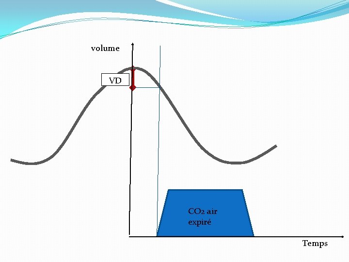 volume VD CO 2 air expiré Temps 