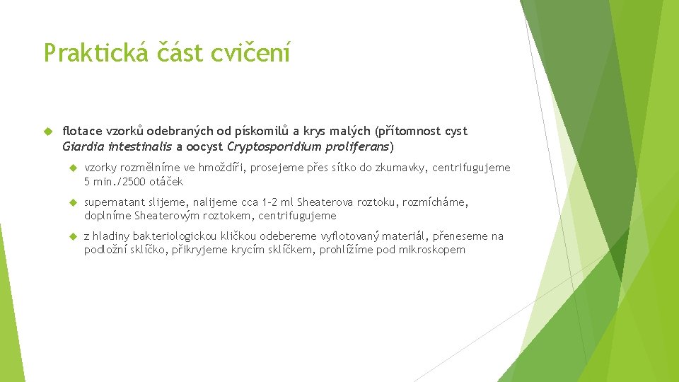 Praktická část cvičení flotace vzorků odebraných od pískomilů a krys malých (přítomnost cyst Giardia