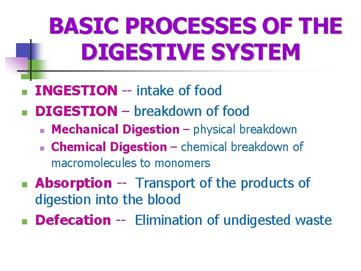 BASIC PROCESSES OF THE DIGESTIVE SYSTEM n n INGESTION -- intake of food DIGESTION