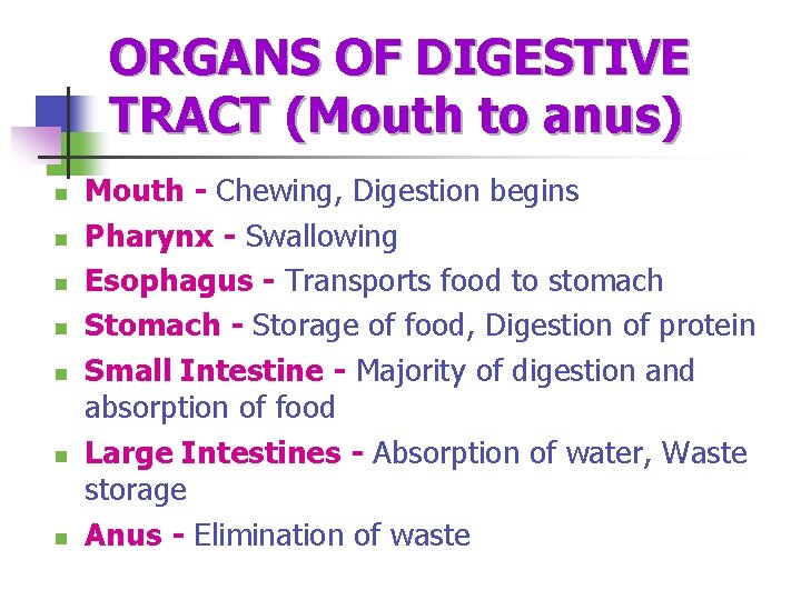 ORGANS OF DIGESTIVE TRACT (Mouth to anus) n n n n Mouth - Chewing,