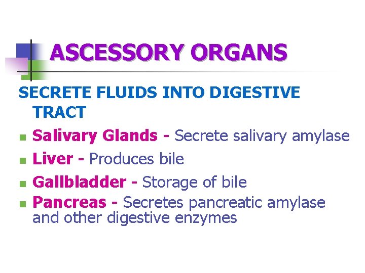 ASCESSORY ORGANS SECRETE FLUIDS INTO DIGESTIVE TRACT n Salivary Glands - Secrete salivary amylase