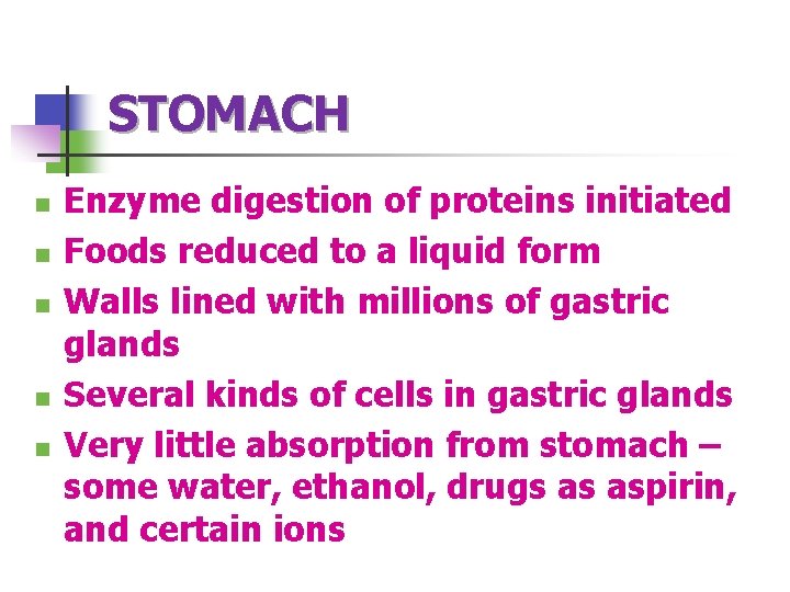 STOMACH n n n Enzyme digestion of proteins initiated Foods reduced to a liquid