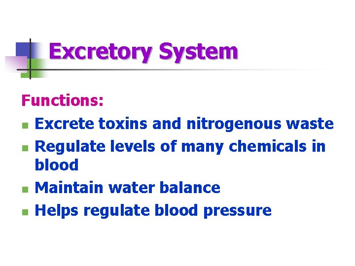 Excretory System Functions: n Excrete toxins and nitrogenous waste n Regulate levels of many