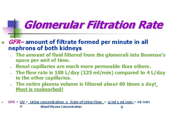 Glomerular Filtration Rate n GFR– amount of filtrate formed per minute in all nephrons