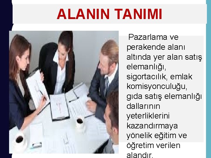 ALANIN TANIMI Pazarlama ve perakende alanı altında yer alan satış elemanlığı, sigortacılık, emlak komisyonculuğu,