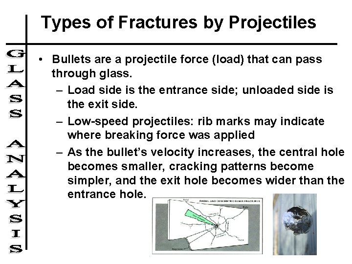 Types of Fractures by Projectiles • Bullets are a projectile force (load) that can