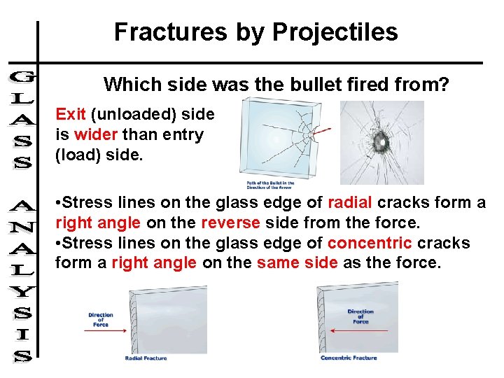 Fractures by Projectiles Which side was the bullet fired from? Exit (unloaded) side is