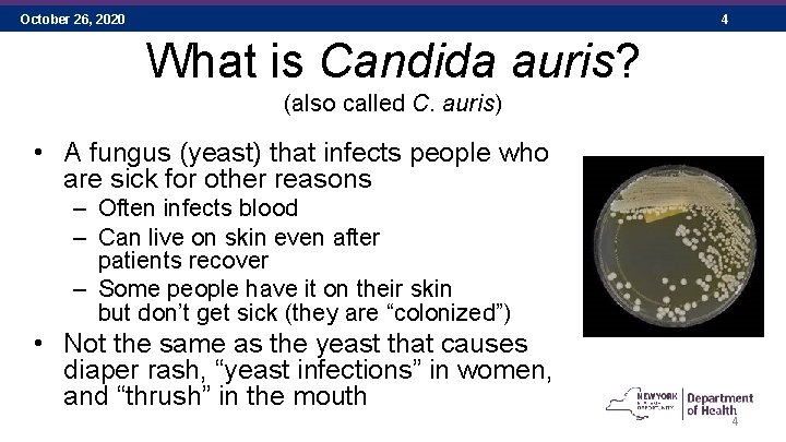 October 26, 2020 4 What is Candida auris? (also called C. auris) • A