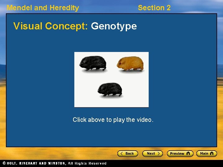 Mendel and Heredity Section 2 Visual Concept: Genotype Click above to play the video.