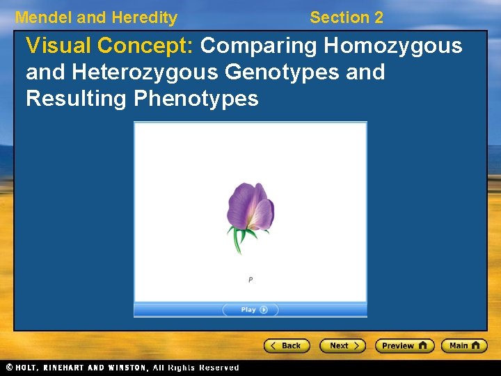 Mendel and Heredity Section 2 Visual Concept: Comparing Homozygous and Heterozygous Genotypes and Resulting