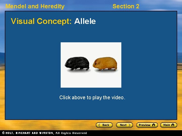 Mendel and Heredity Section 2 Visual Concept: Allele Click above to play the video.