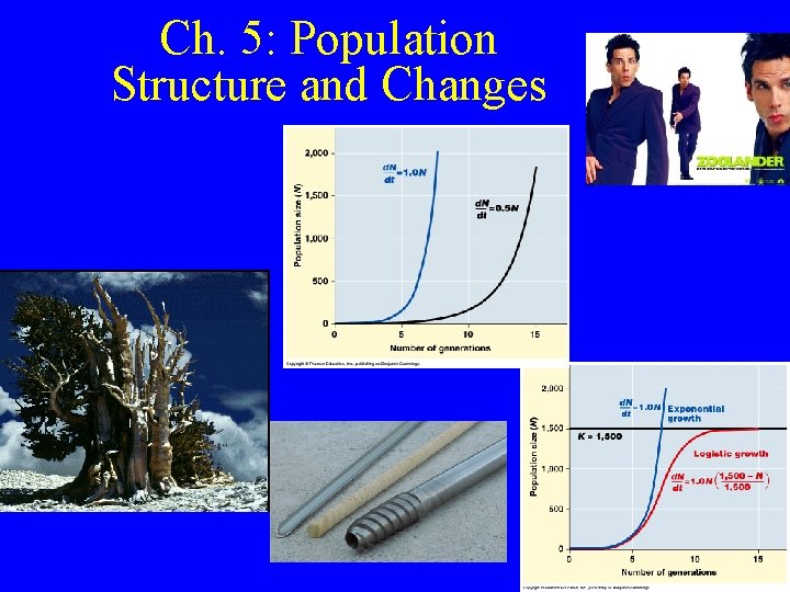 Ch. 5: Population Structure and Changes 