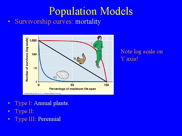 Population Models • Survivorship curves: mortality Note log scale on Y axis! • Type
