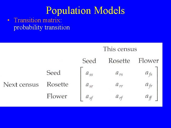 Population Models • Transition matrix: probability transition 