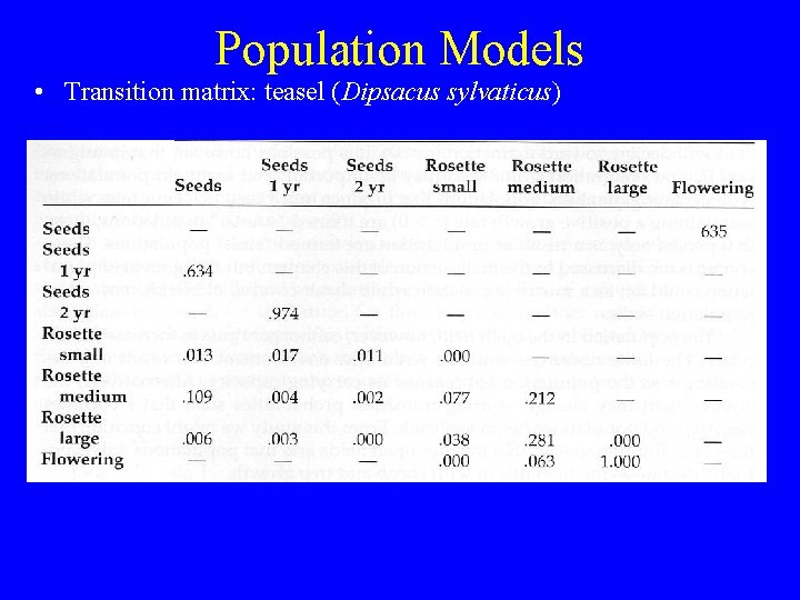 Population Models • Transition matrix: teasel (Dipsacus sylvaticus) Note columns don’t always sum to