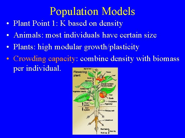 Population Models • • Plant Point 1: K based on density Animals: most individuals