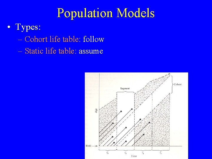 Population Models • Types: – Cohort life table: follow – Static life table: assume