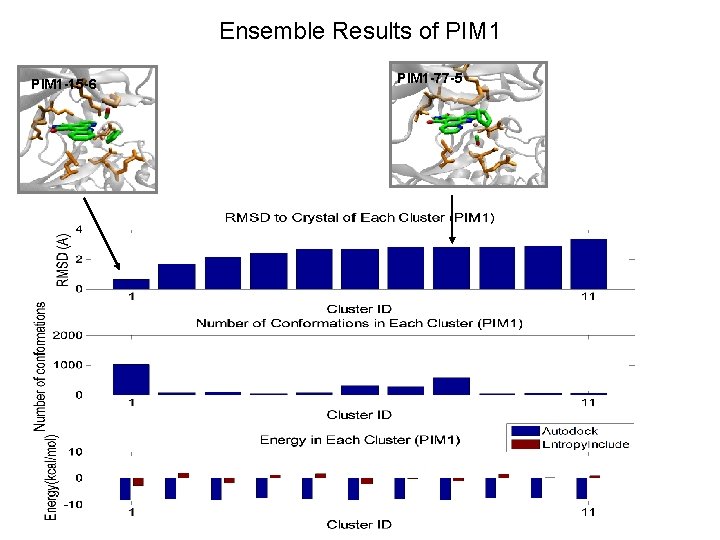 Ensemble Results of PIM 1 -15 -6 PIM 1 -77 -5 