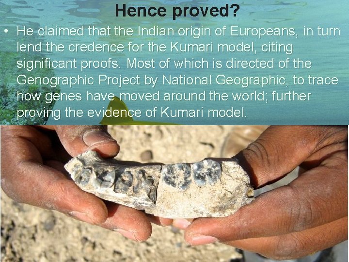 Hence proved? • He claimed that the Indian origin of Europeans, in turn lend