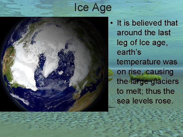 Ice Age • It is believed that around the last leg of Ice age,