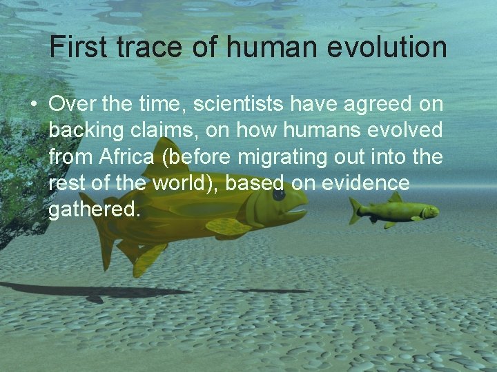 First trace of human evolution • Over the time, scientists have agreed on backing