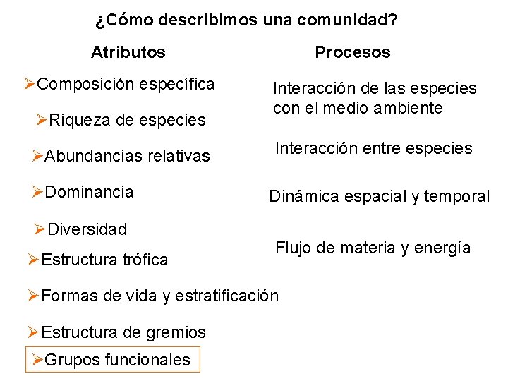 ¿Cómo describimos una comunidad? Atributos Composición específica Riqueza de especies Abundancias relativas Dominancia Diversidad