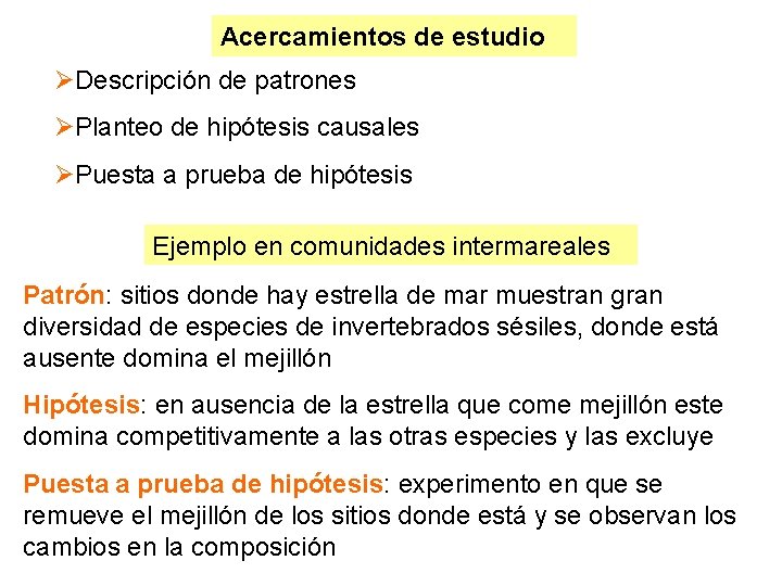 Acercamientos de estudio Descripción de patrones Planteo de hipótesis causales Puesta a prueba de