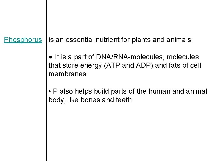 Phosphorus is an essential nutrient for plants and animals. • It is a part